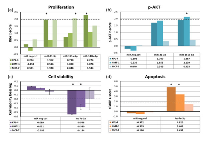 Figure 3. In-cis miRNAs show functional effects when overexpressed. Breast cancer cell lines were transfected with miRNA mimics (20 nM) and assayed for (a) cell proliferation (Ki67), (b) phosphorylated AKT (p-AKT) levels, (c) cell viability and (d) apoptosis (cleaved PARP (cPARP)), 72 hours after transfection. The dashed lines indicate cut-off points that were considered significant. Asterisks denote significant effects. The data for cell viability are from two replicate experiments with error bars showing standard deviations.